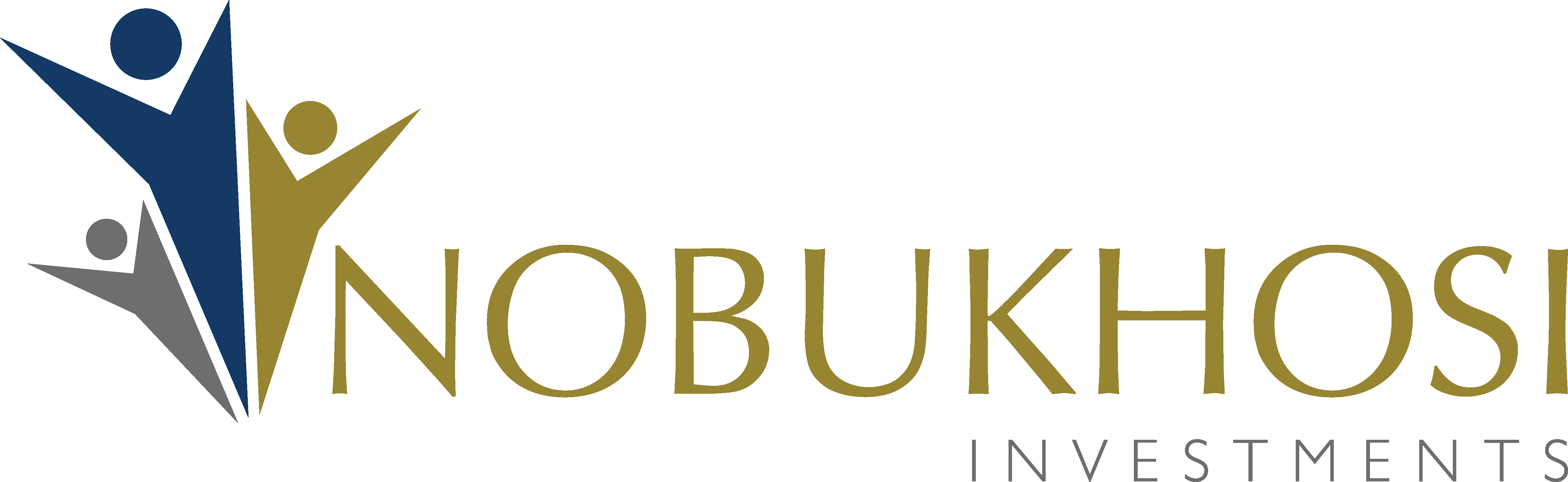 Nobukhosi Investments